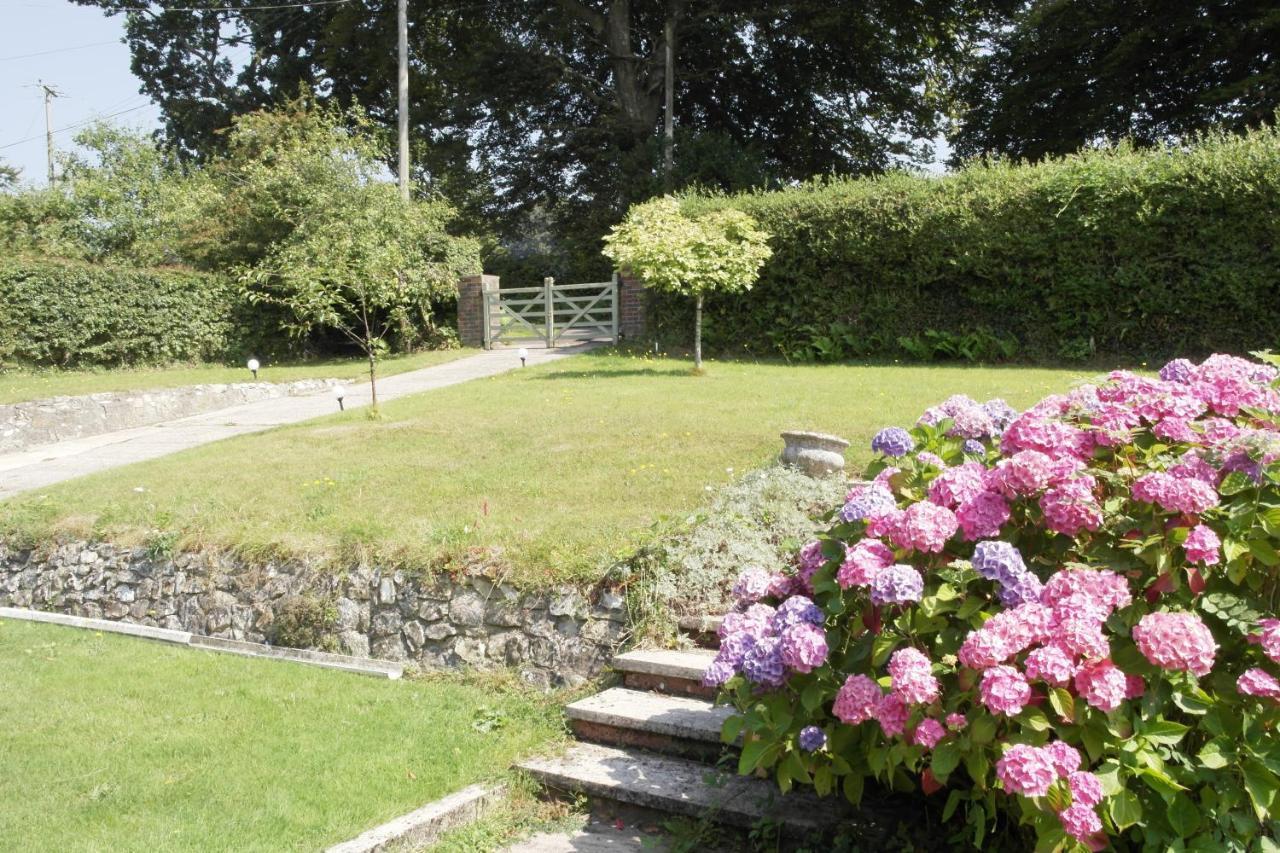 Nettle Bank Bed & Breakfast Lyme Regis Exterior photo