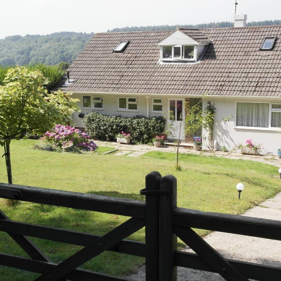 Nettle Bank Bed & Breakfast Lyme Regis Exterior photo